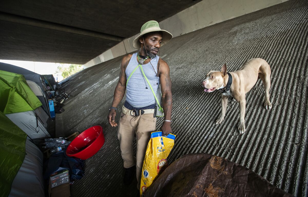 A man in a hat, holding a yellow bag, stands on a slope next to his dog under a freeway