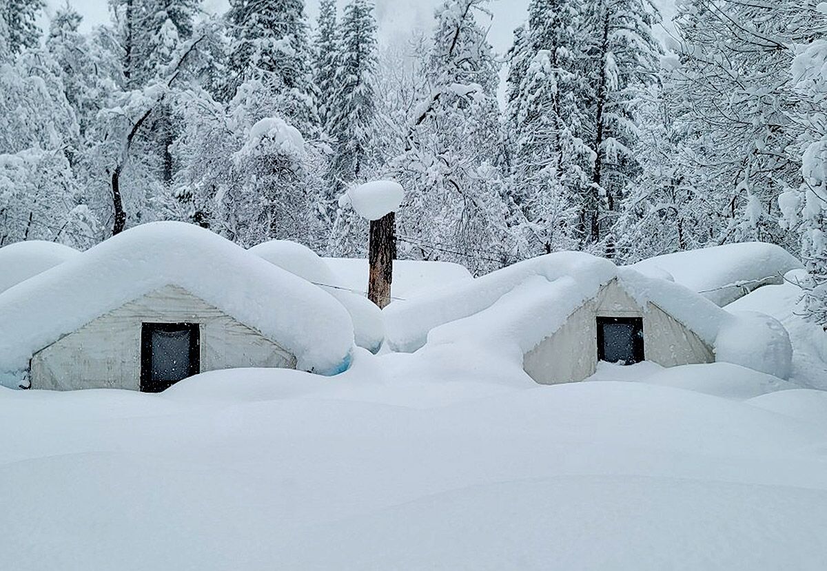 Tent cabins are buried in snow with snow-covered trees in the background.