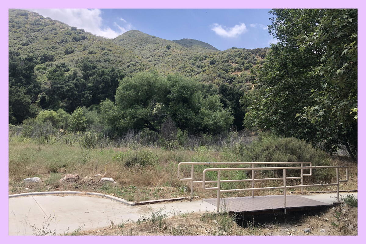 A short bridge with railings on both sides on an outdoor trail
