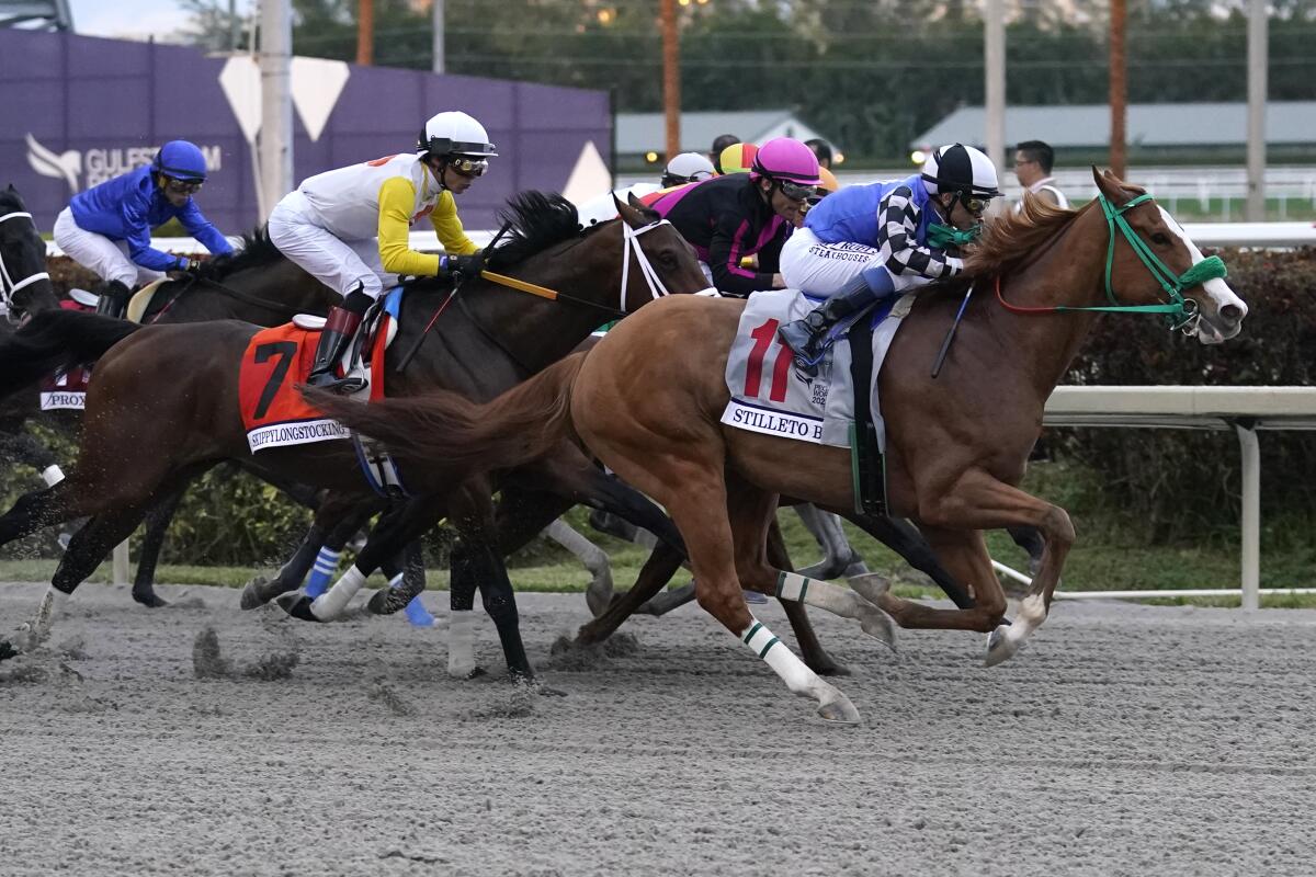 Skippylongstocking (7) and Stiletto Boy (11) race in the Pegasus World Cup in January.