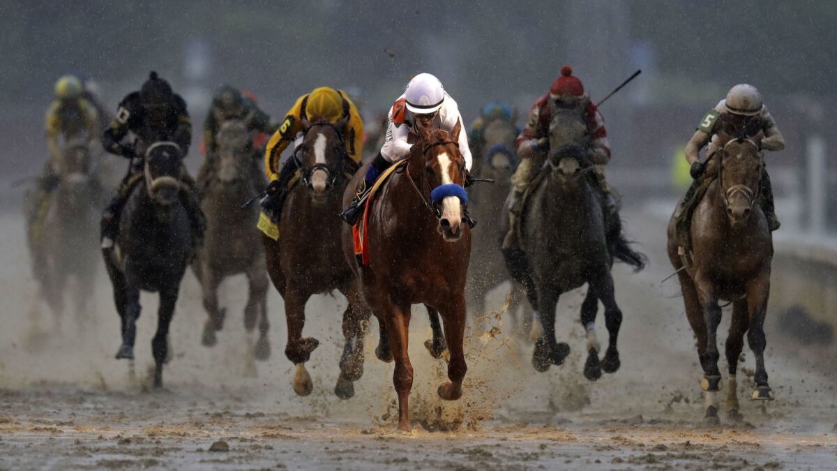 Justify became the sixth straight favorite to win the Kentucky Derby last year at Churchill Downs.
