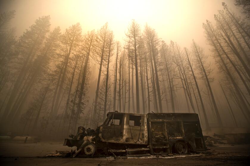 GREENVILLE, CA - AUGUST 07, 2021: Burned trees rise above a truck destroyed by the Dixie Fire in the town of Greenville. (Mel Melcon / Los Angeles Times)