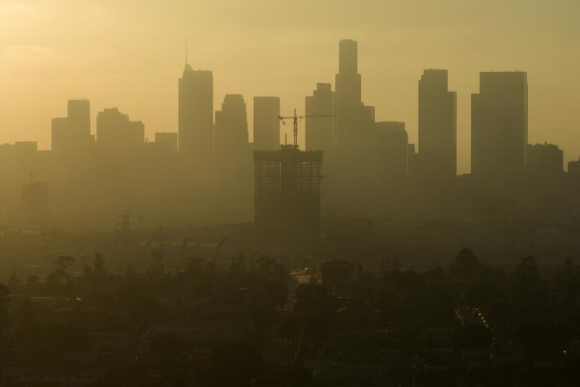 LOS ANGELES, CA - JULY 28: A new construction going up against the backdrop of the downtown Los Angeles skyline on Friday, July 28, 2023. (Myung J. Chun / Los Angeles Times)