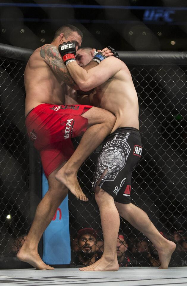 United States' Cain Velasquez, right, battles against Brazil's Fabricio Werdum during a UFC 188 heavyweight mixed martial arts bout in Mexico City, Saturday, June 13, 2015. Werdum won the fight by submission. (AP Photo/Christian Palma)