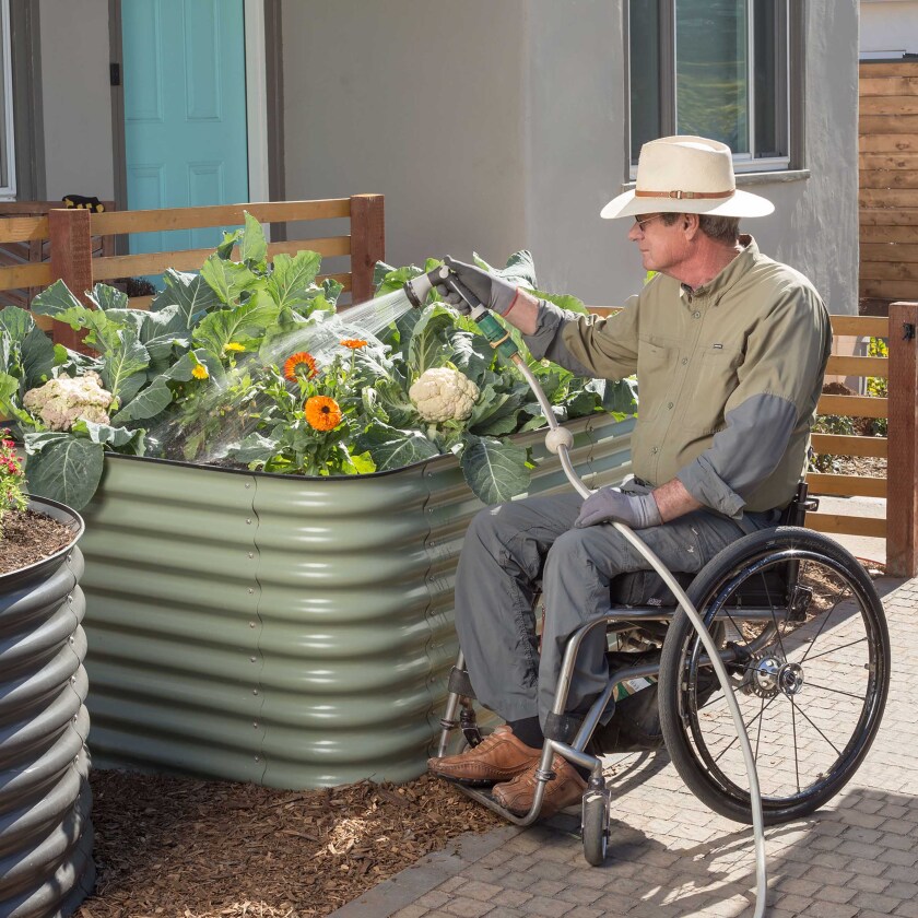 A man seated in a wheelchair uses a hose to spray plants in a tall modular raised garden bed made of galvanized metal.
