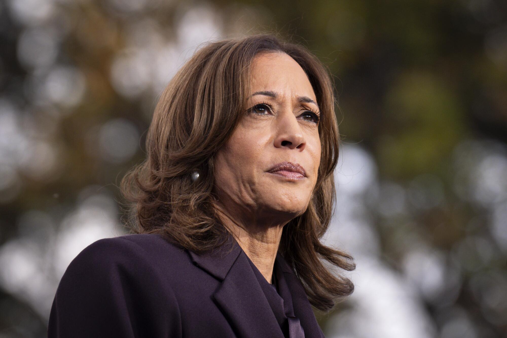 A straight, old white guy' or Kamala Harris? Whom should Dems back? - Los Angeles Times