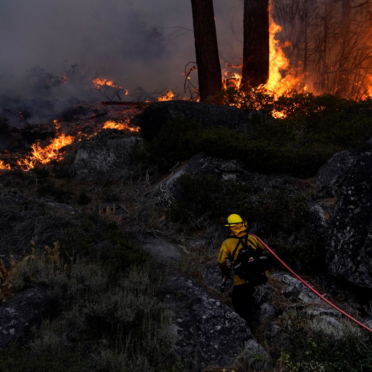 A firefighter combats flames in a forest.