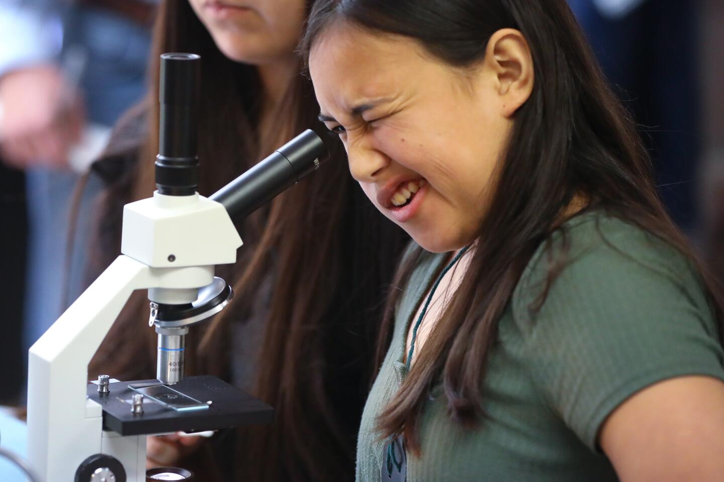 Sophie Gofigan, 13, looks through a microscope, at the Helen Woodward Animal Center, during the one-day veterinarian camp, February 8, in Rancho Santa Fe.