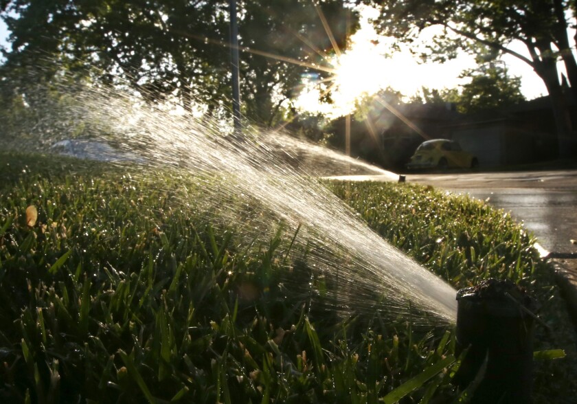 Q A It S Wrong To Fine Owner For Not Watering Lawn During Drought Los Angeles Times