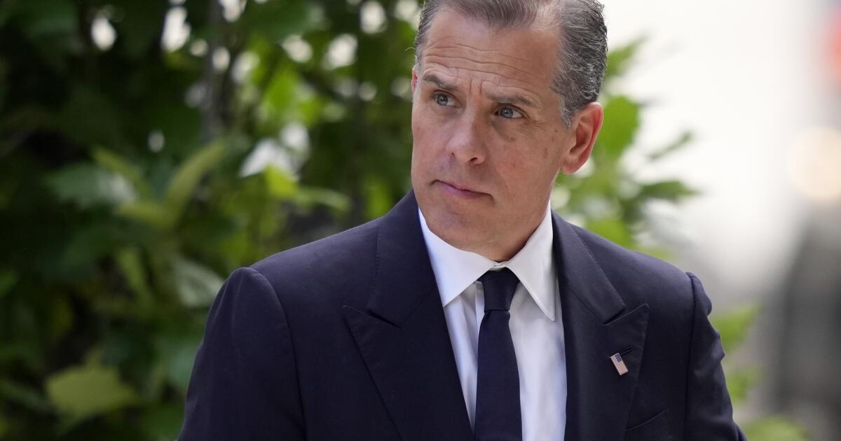 As Hunter Biden holidays with father, his attorneys decry ‘character assassination’