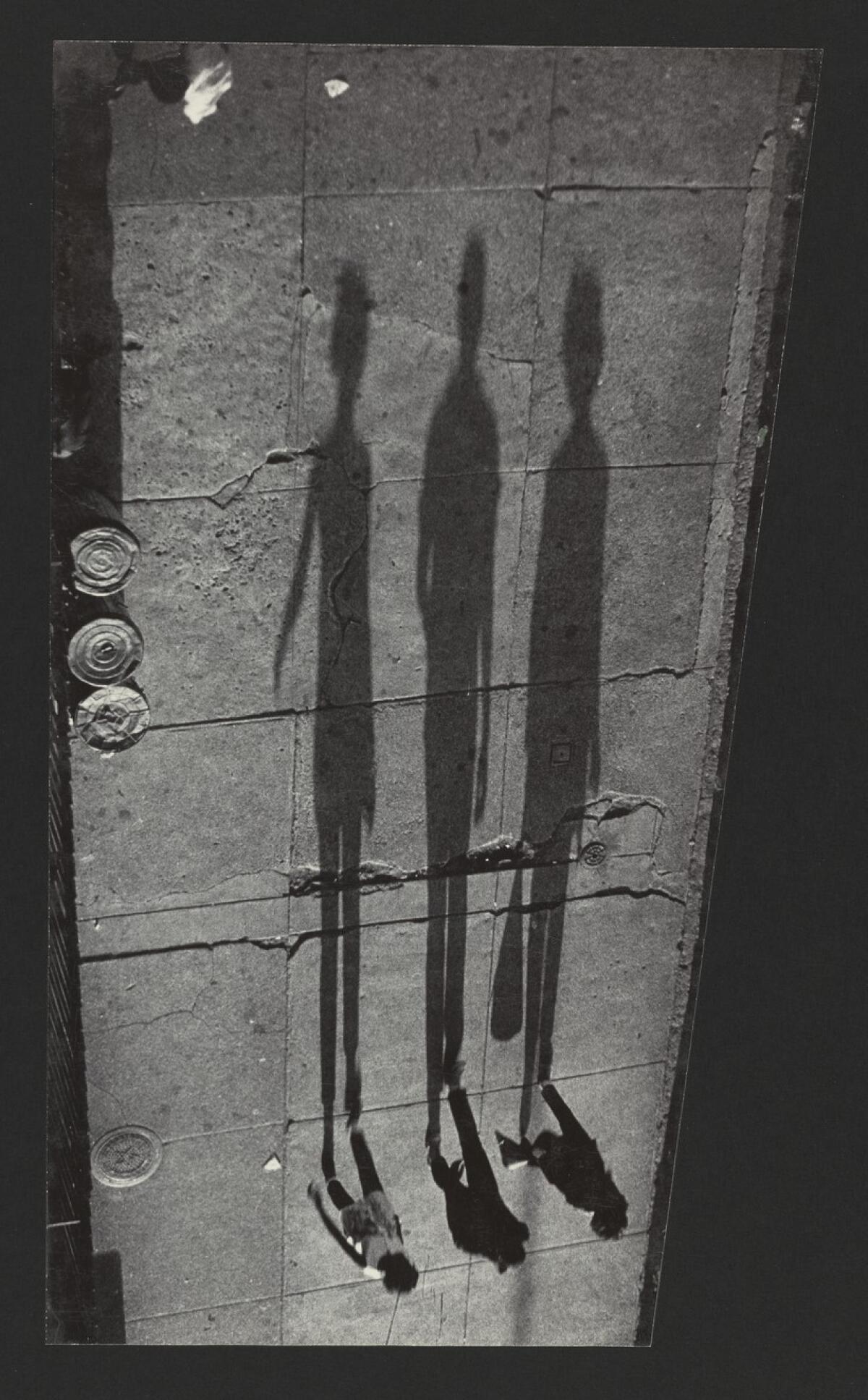 A photo of three people walking, casting long shadows