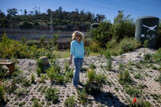 Lauren Bon, in work clothes, stands on land next to the Los Angeles River where wild plants sprout amid hollow brick