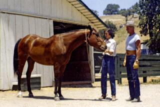 Edie with her father, Duke Sedgwick, and Chubb the horse.