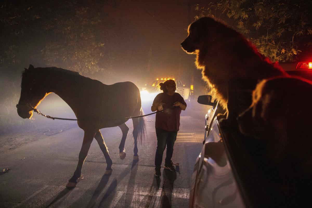 A woman evacuates a horse as the Franklin fire burns in Malibu