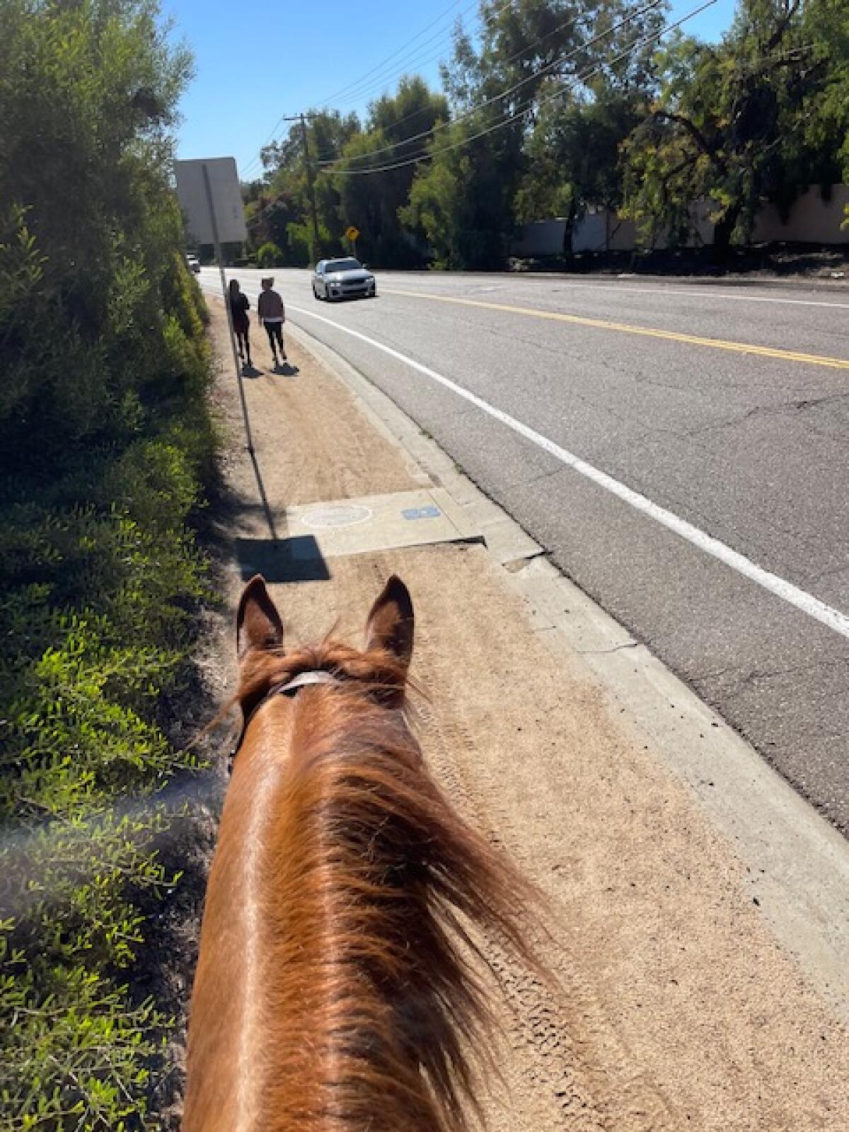 Encinitas Trails Coalition has been working on the trail system for more than 20 years.