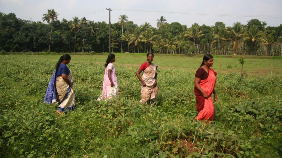 Part of a program in India's southern Kerala state, pictured in 2013, teaches women farming and other work skills. Experts say, given the opportunity, women could slash the number of hungry people in the world by up to 150 million people.