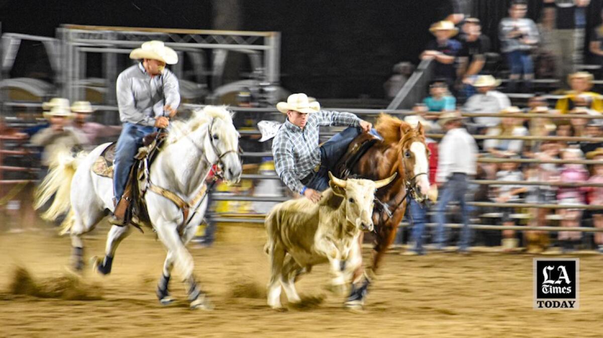 A file photo of an unidentified rodeo.