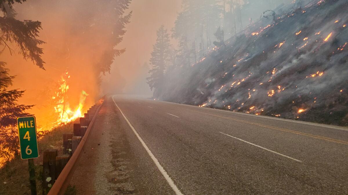 flames burn along an Oregon road