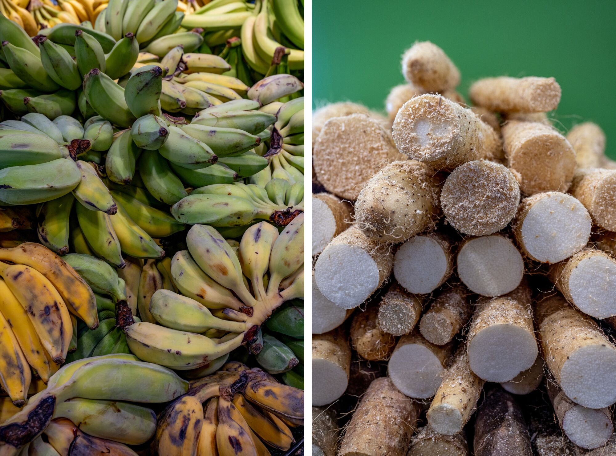 Un assortiment de bananes thaïlandaises et d'ignames japonaises