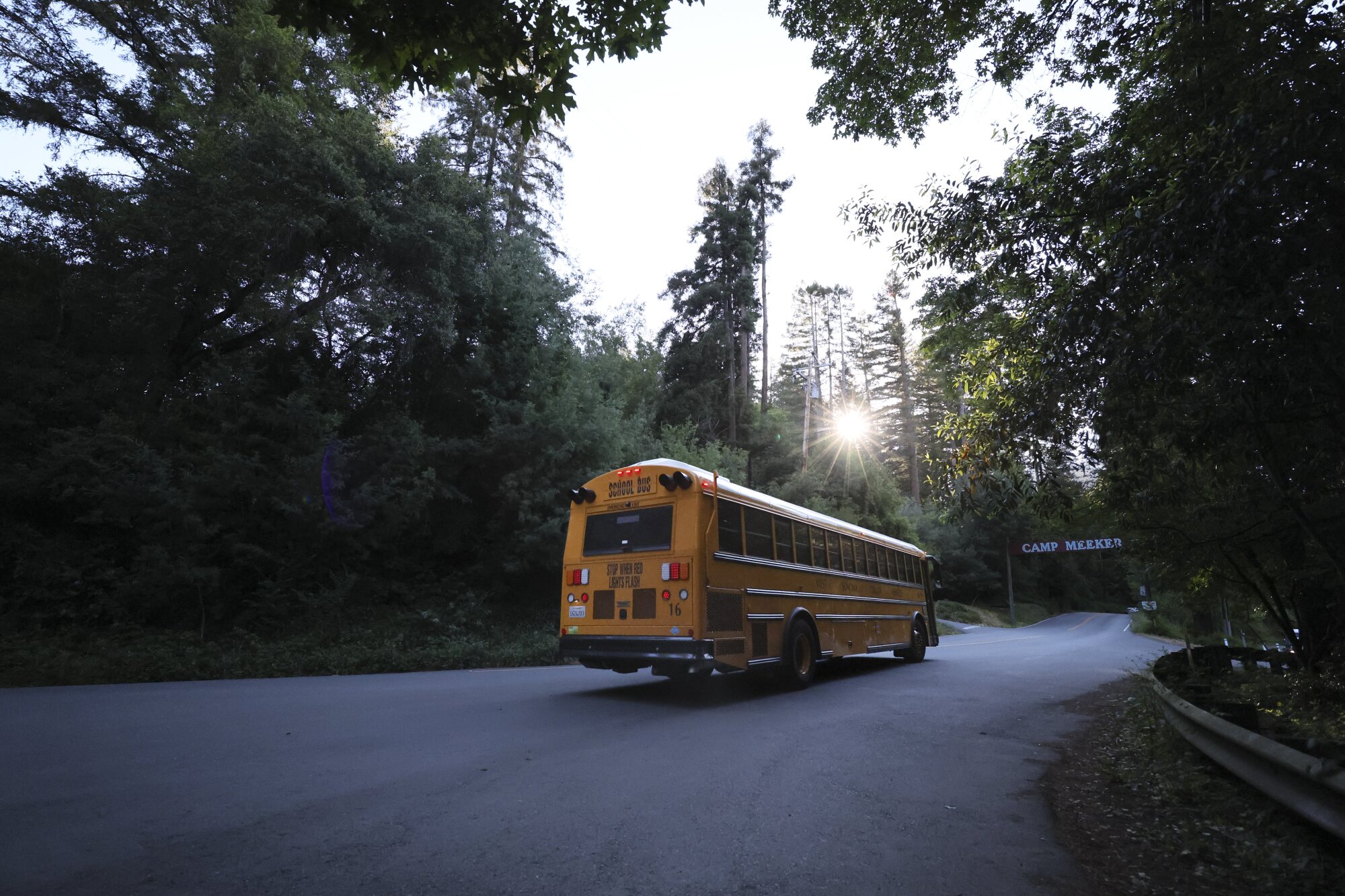 A yellow school bus on a road with trees on both sides.