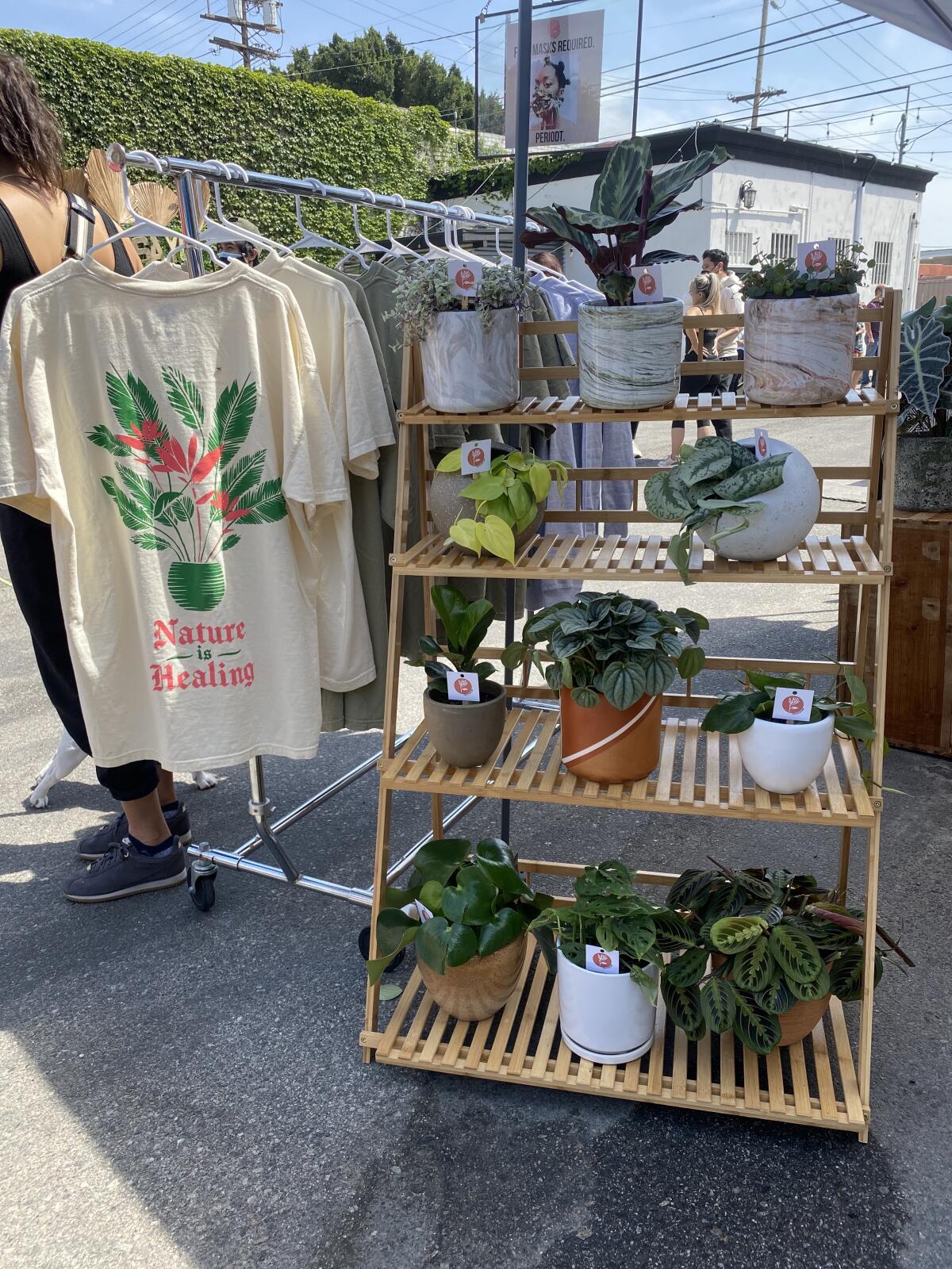 T-shirts and plants on display at an outdoor plant shop.