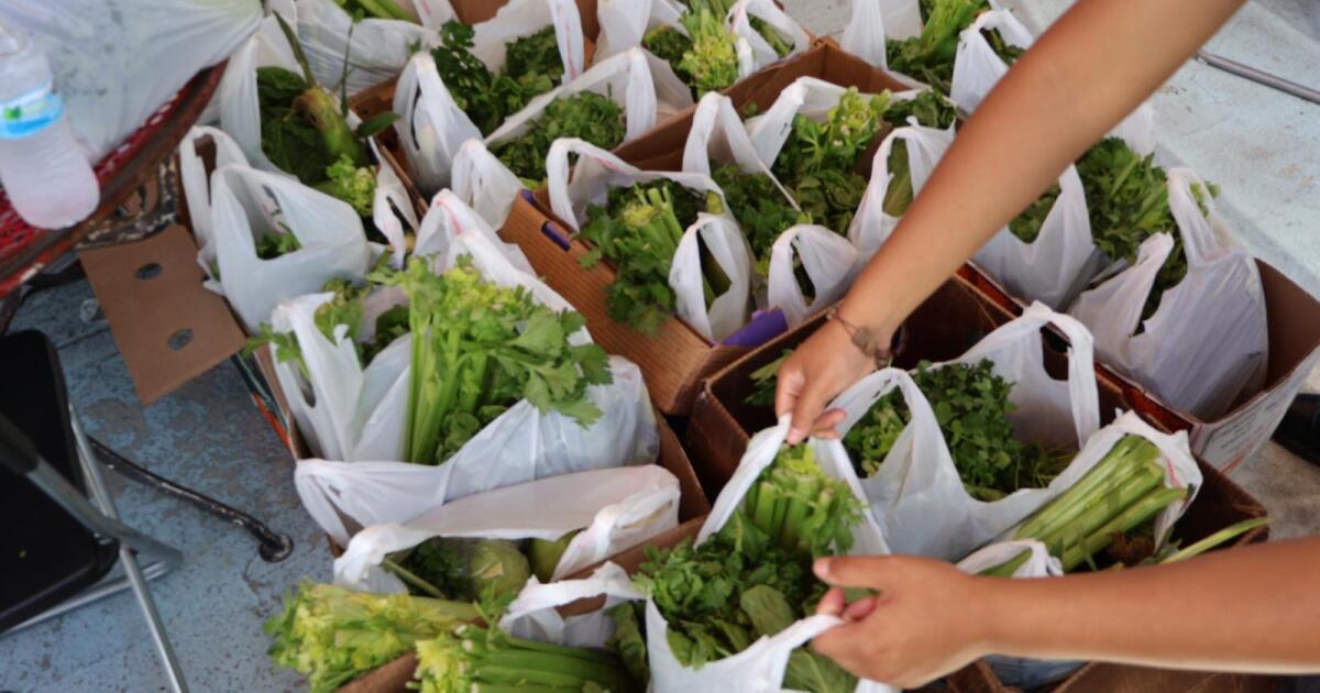 L.A. restaurants and nonprofits mobilize to deliver groceries to ...