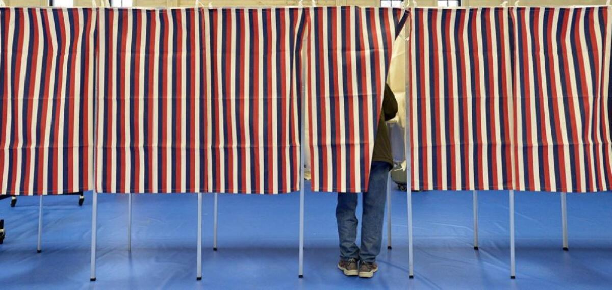 A voter behind a curtain in a row of voting booths