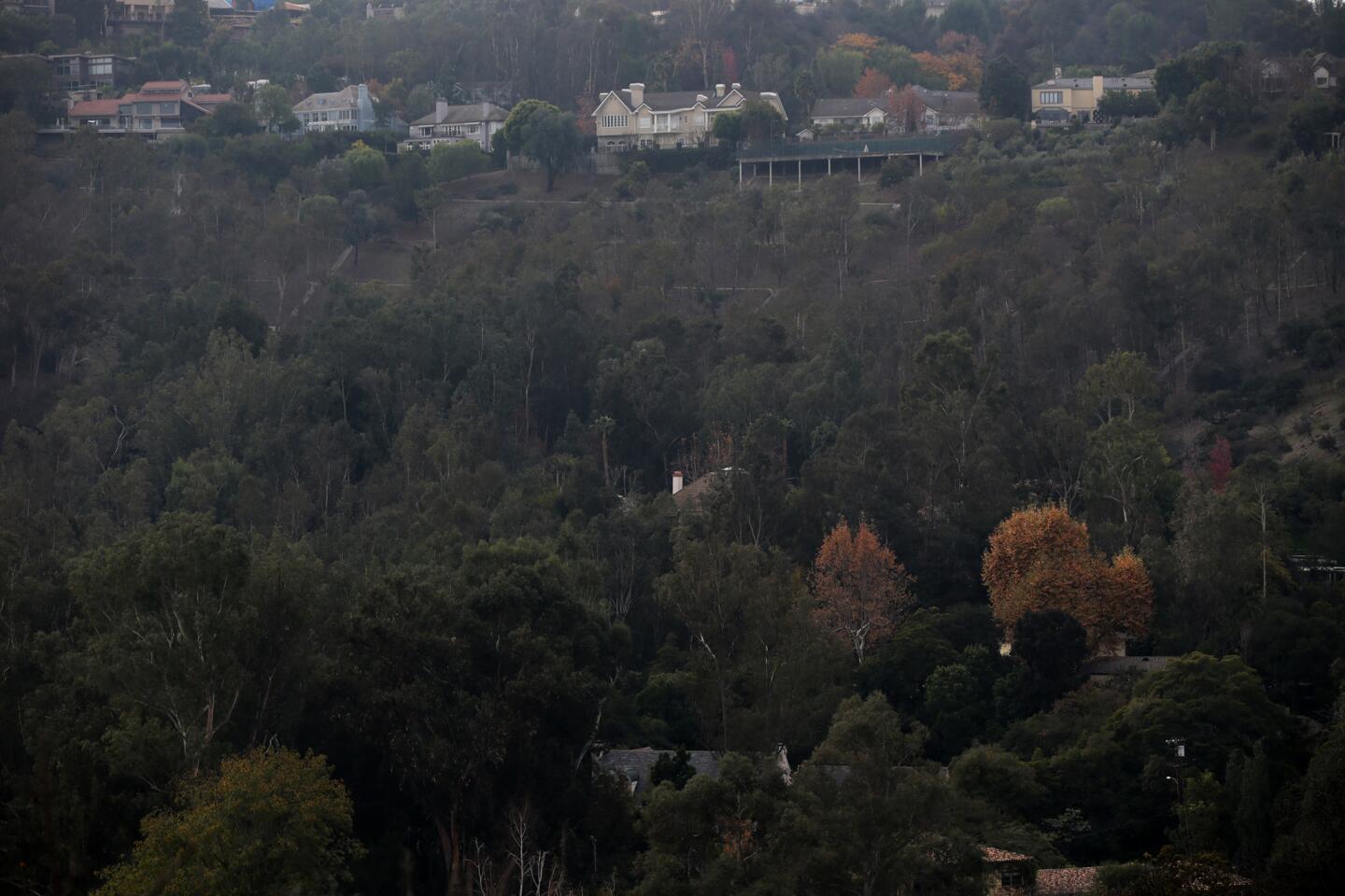 L.A. Walks: Footloose in Fryman Canyon