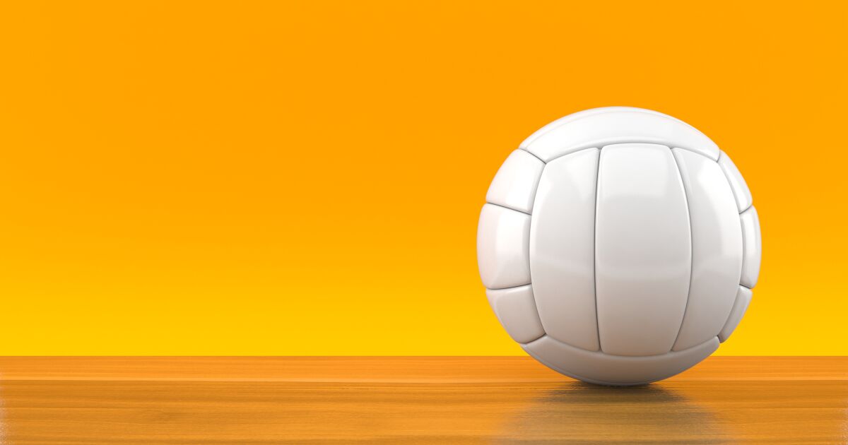Volleyball féminin au lycée: calendrier des championnats de la ville et de la section sud
