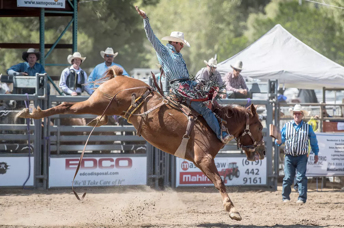 Saddle Up Poway: Celebrating 50 Years of Rodeo Excitement!