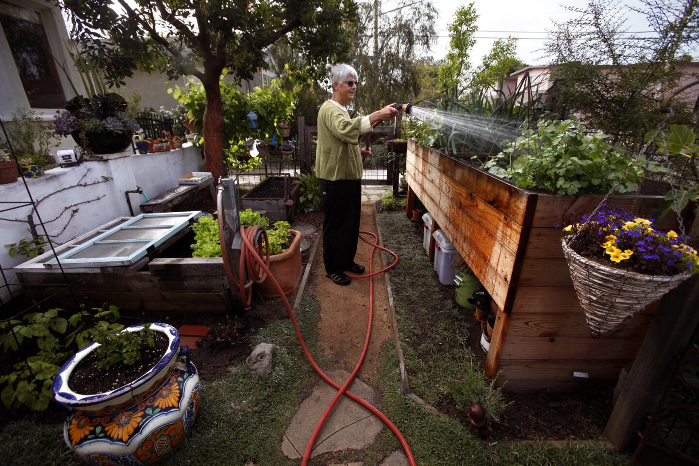 Leigh Curran waters vegetables and herbs that are planted in an extra-high raised bed to better capture sunlight. The height also allows for storage underneath. The water drains to the frontyard plants along the sidewalk facing the street.