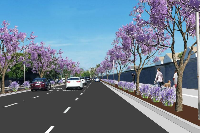 A rendering shows a Class I bicycle trail being planned for Adams Avenue, from the Santa Ana River to Royal Palm Drive.