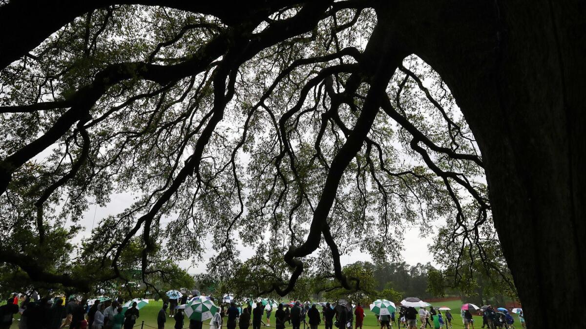 Golf patrons line the first fairway at the big oak tree behind the clubhouse during the practice round for the Masters at Augusta National Golf Club on Tuesday.