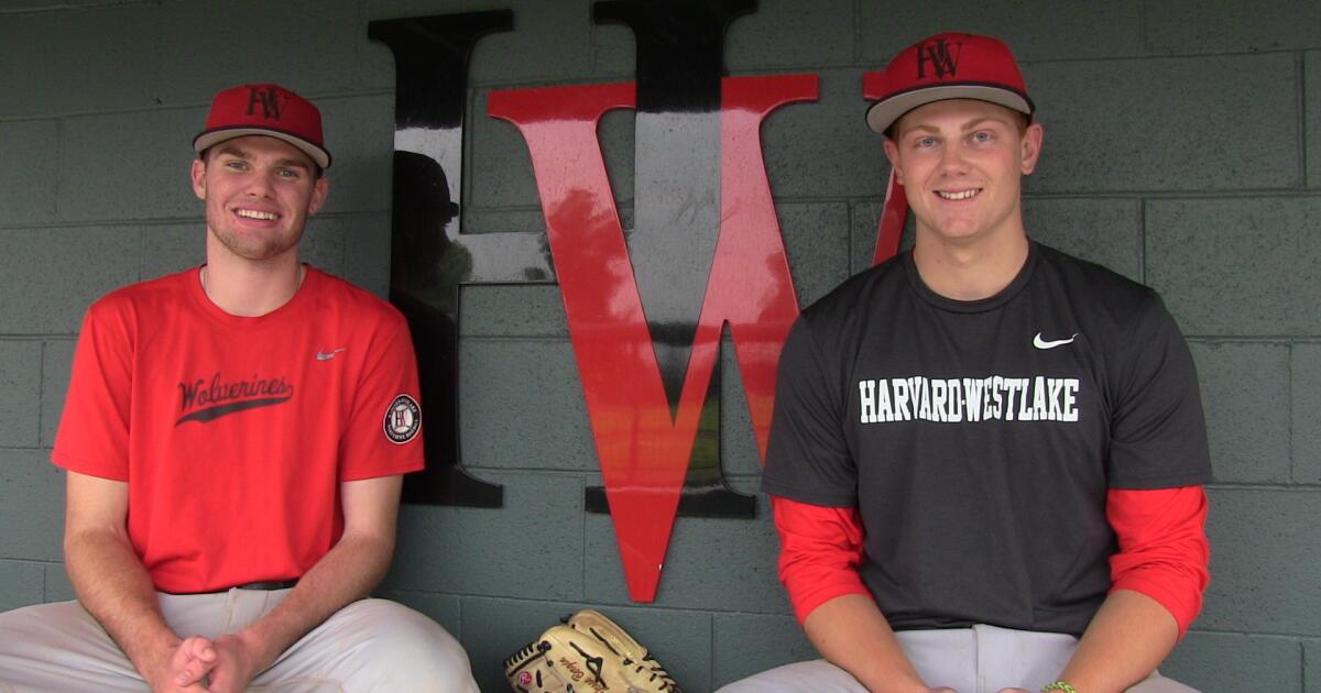 Baseball: Sophomore Jesse Bergin pitches Harvard-Westlake into Division 1  final - Los Angeles Times