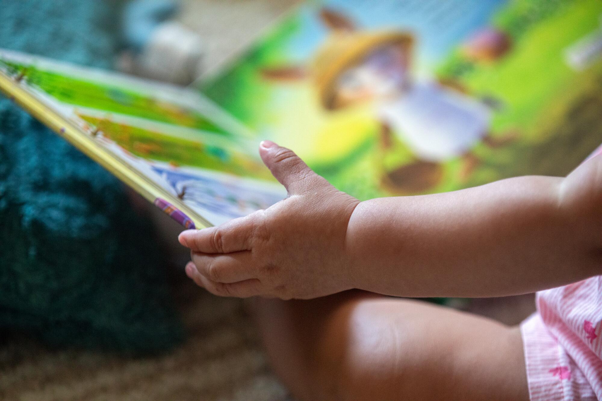 A toddler holds a picture book in her hands. 
