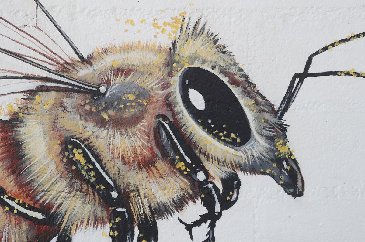 A detail of the bee mural, "The Good of the Hive," by artist Matt Willey, in Laguna Beach.