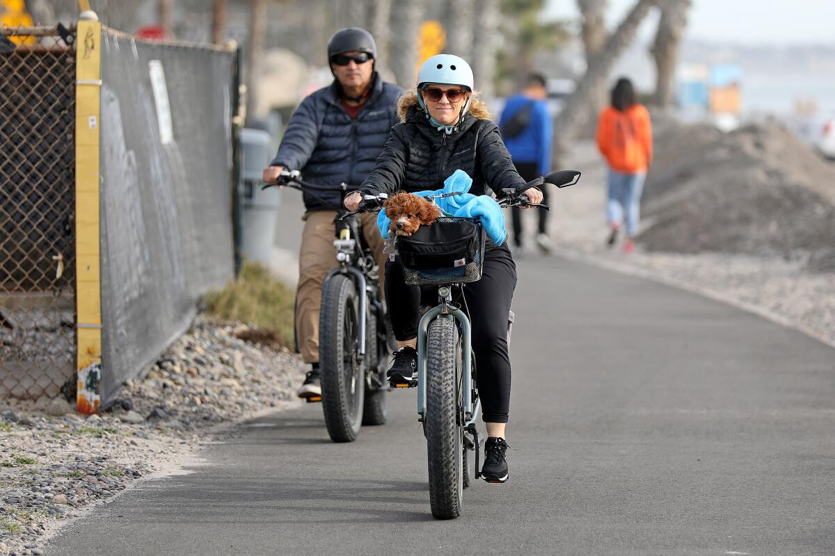 Two people wearing helmets ride electric bikes on a path. A dog is sitting in one of the bike baskets.