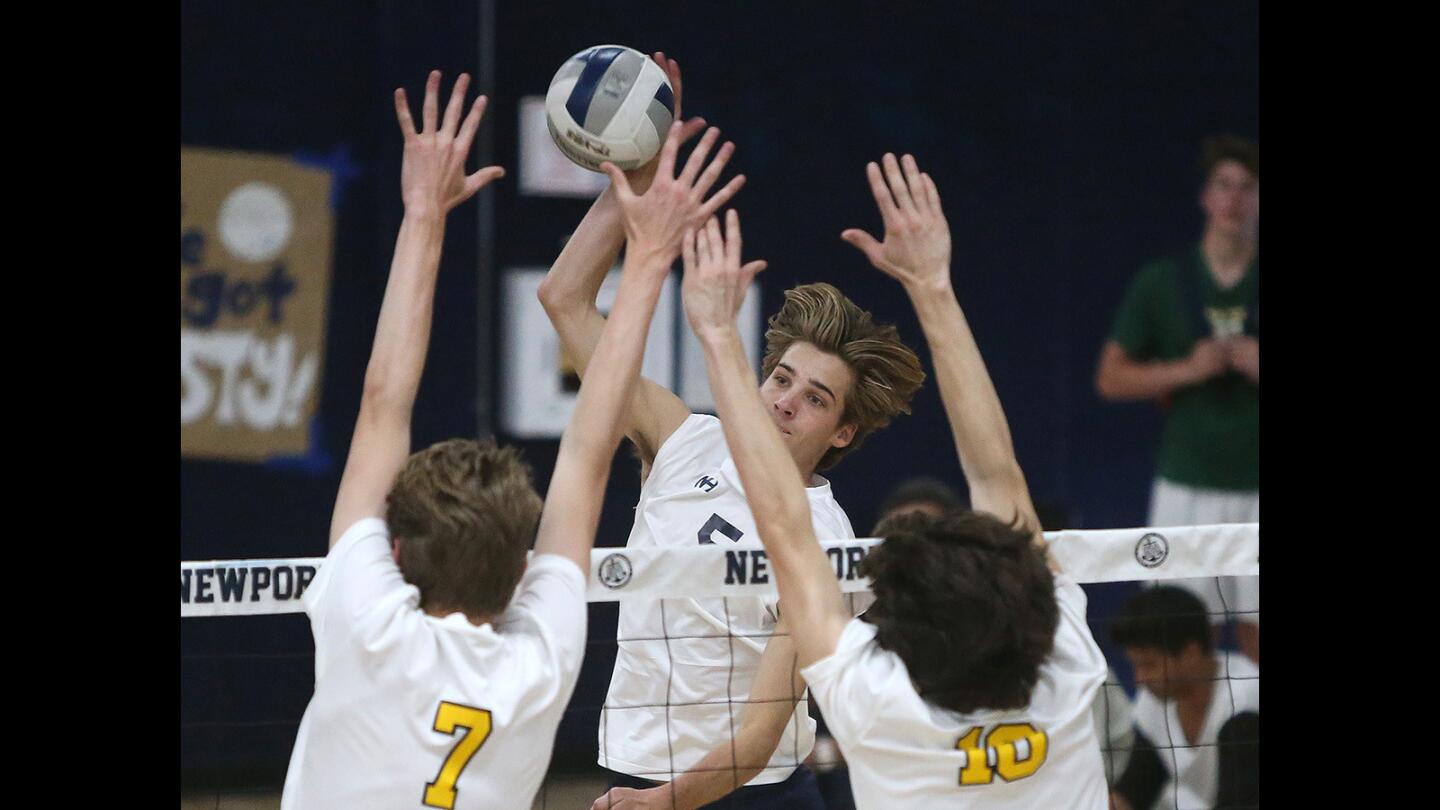 Newport Harbor's Cole Pender goes up high over the hands of two Mira Costa blockers during boys’ non league volleyball match on Wednesday.