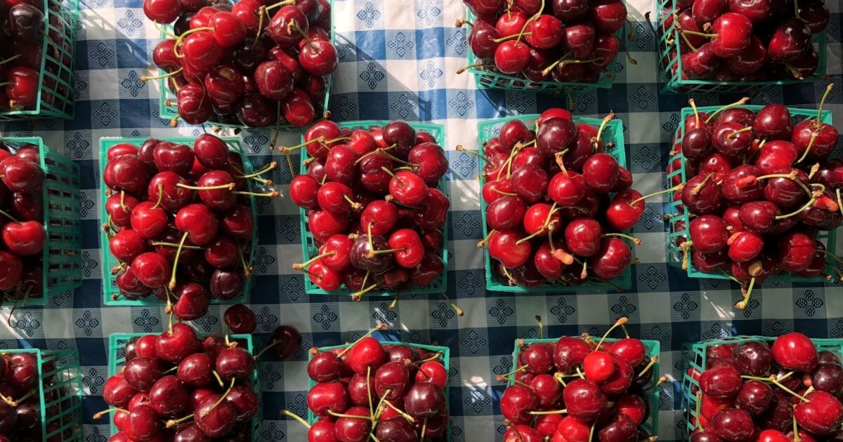 Pies, tarts, tacos and more great recipes using cherries, now in season