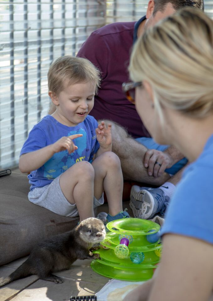 Make-A-Wish kid interacts with a baby otter at Nurtured by Nature