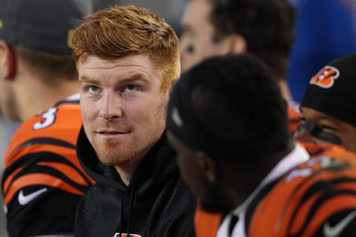 Injured Cincinnati quarterback Andy Dalton sits on the bench during a game against the San Francisco 49ers on Dec. 20.