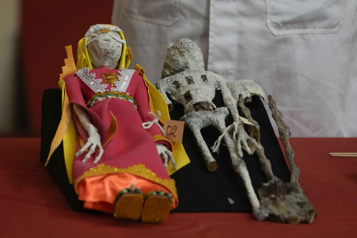 Dos muñecos interceptados por las autoridades, expuestos en el Museo de Arqueología