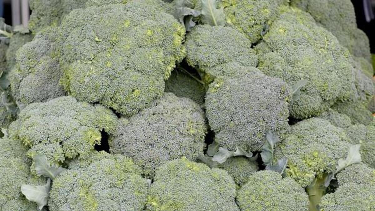 Broccoli at the farmers market.