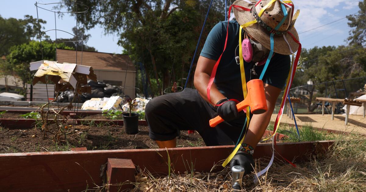 Le plomb reste dans les cours de la zone de nettoyage de la machine de recyclage de batteries Exide