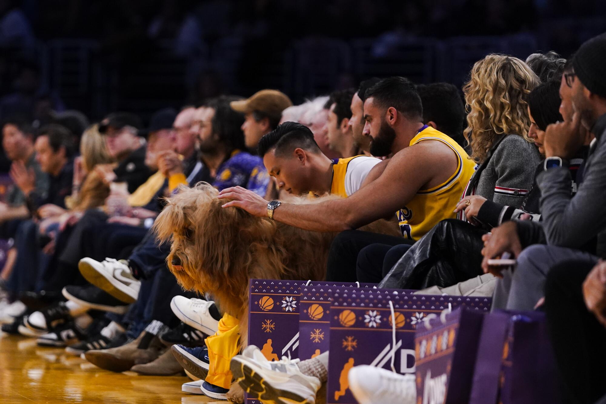 Cliff Brush Jr. scratches the head of Brodie the Goldendoodle as they sit courtside at the Lakers-Knicks game.  