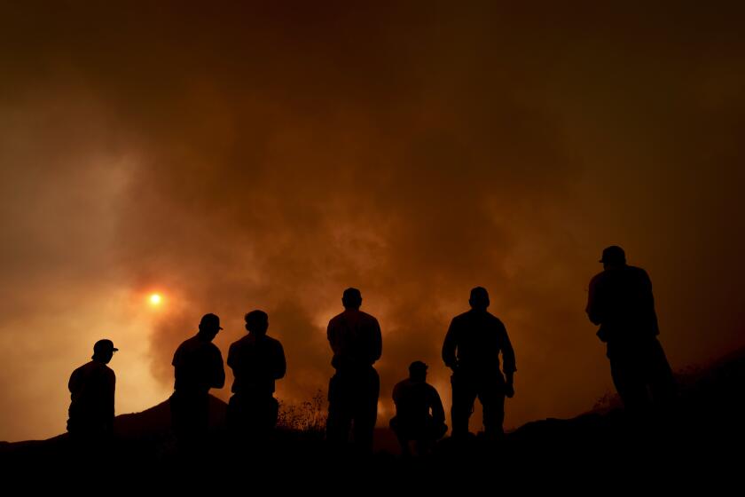 Los bomberos controlan el avance del Incendio Line en Angelus Oaks, California, el lunes 9 de septiembre de 2024. (AP Foto/Eric Thayer)