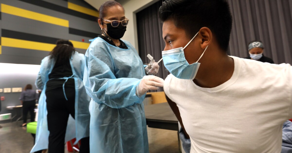 CDC : “침투성”감염의 2 %가 COVID-19 사망 원인 CDC : “침투성”감염의 2 %가 COVID-19 사망 원인