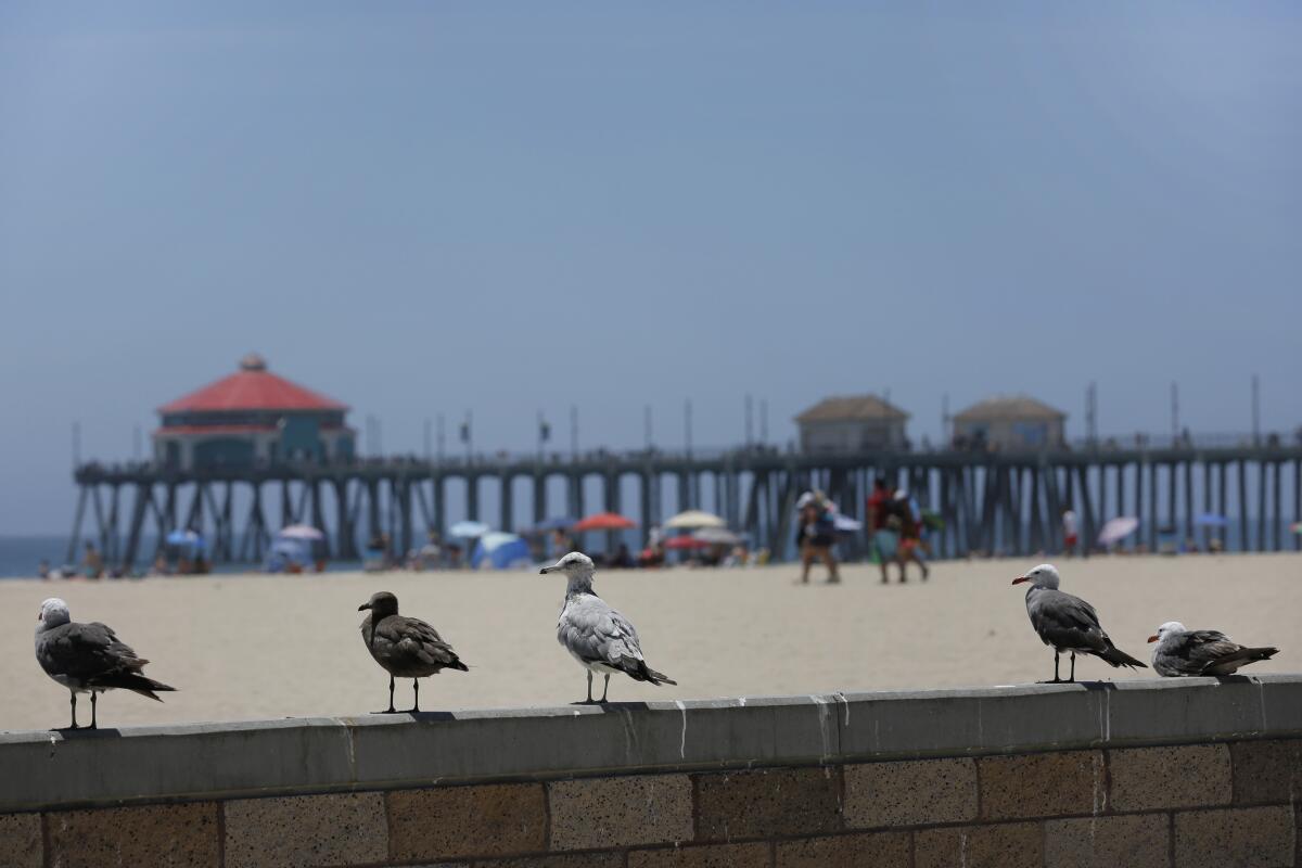 A view of the Huntington Beach Pier. 