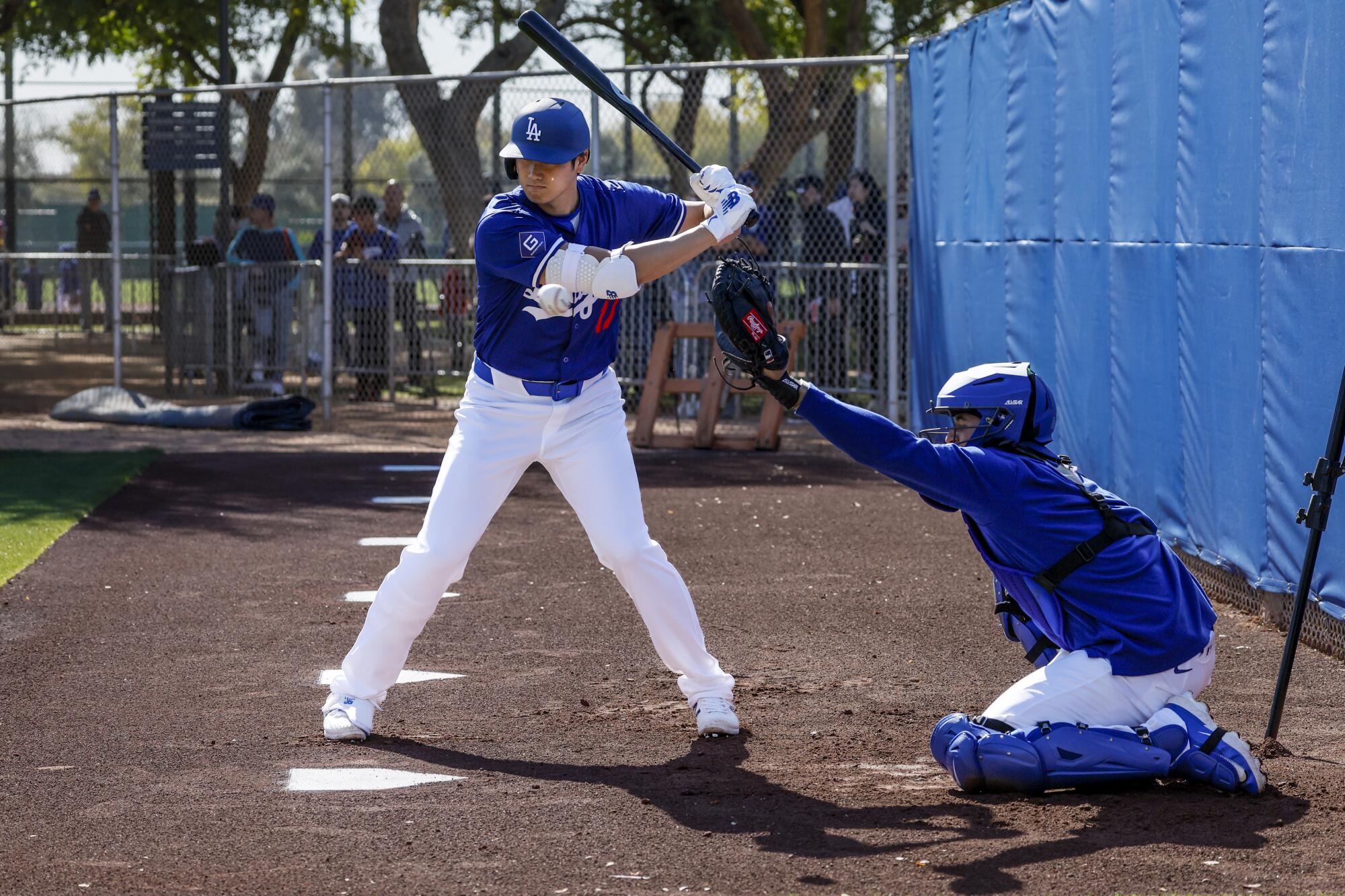 Dodgers DH Shohei Ohtani stands in the batter's box during a practice session.