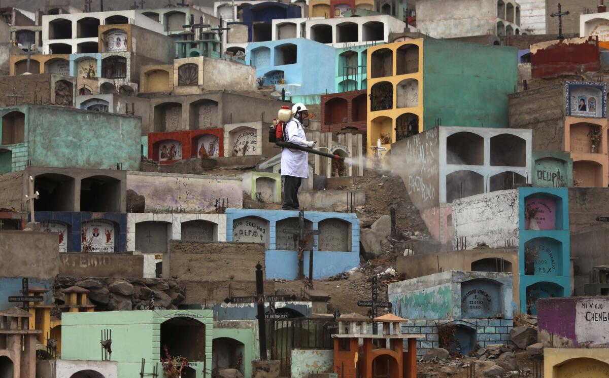 En esta imagen un trabajador sanitario fumiga para exterminar al mosquito que contagia los virus del dengue, el chikungunya y el zika en un cementerio a las afueras de Lima, Perú. El mosquito aedes aegypti, que se sabe contagia el virus del zika, vive y se reproduce en los jardines y casas de la gente, lo que complica la fumigación y a menudo requiere trabajosas intervenciones puerta a puerta. (AP Foto/Martin Mejia)